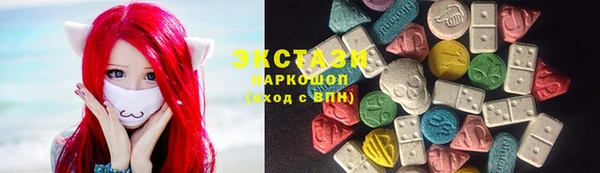 ECSTASY Бородино